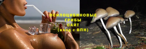 ALPHA PVP Алексин