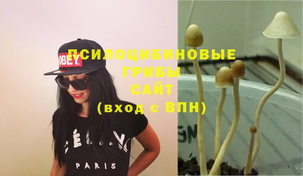сатива Алексеевка