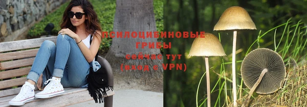 эйфоретик Алзамай