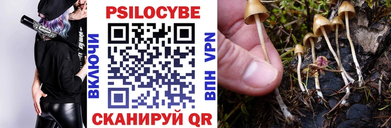 Галлюциногенные грибы Cubensis Новопавловск